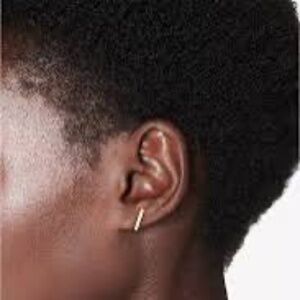 Anine Bing Bar Earring